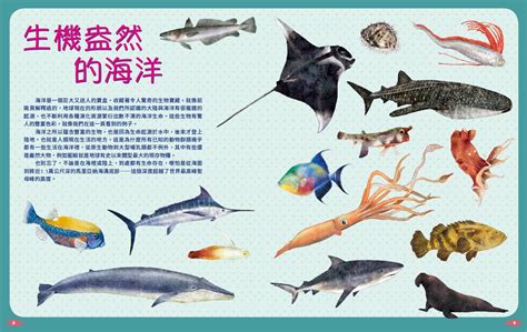 魚有哪些|《世界上有哪些魚？ 》 魚類、海洋動物與牠們生活的。